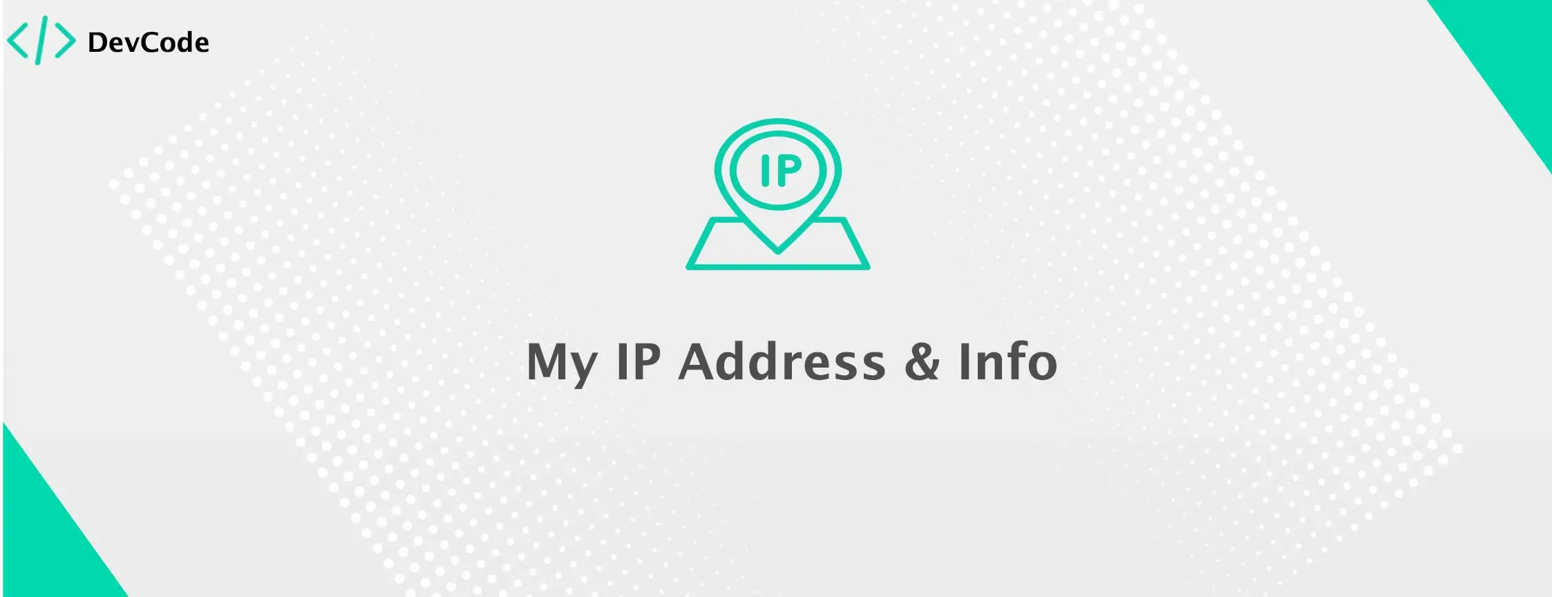 My ip address info devcodes